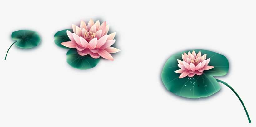 Is Hand Drawn Cartoon Lotus Decorative About Hand The - Sacred Lotus, transparent png download
