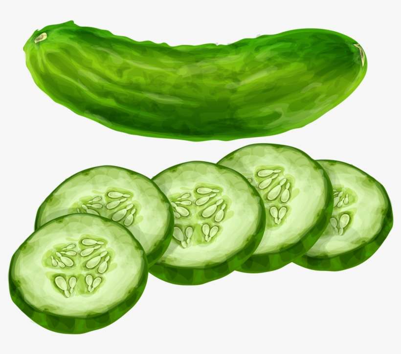 Pepino Fruit Clipart, Food Clipart, Vegetable Prints, - Cucumber Clipart, transparent png download