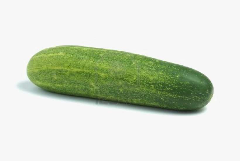 Single Cucumber Png Photo - Khira Vegetable In English, transparent png download