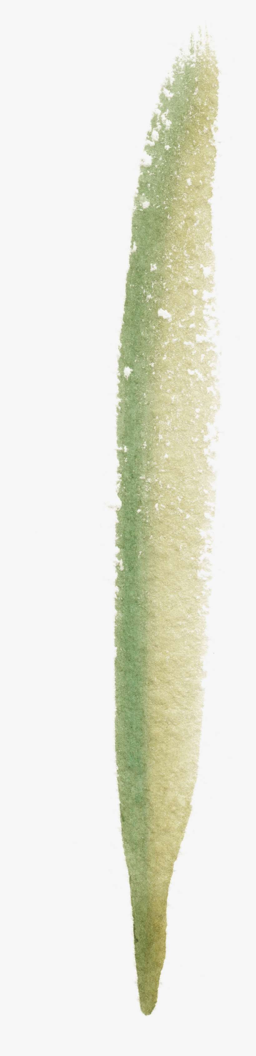 Drip Cucumber Transparent Decorative - Glitter, transparent png download