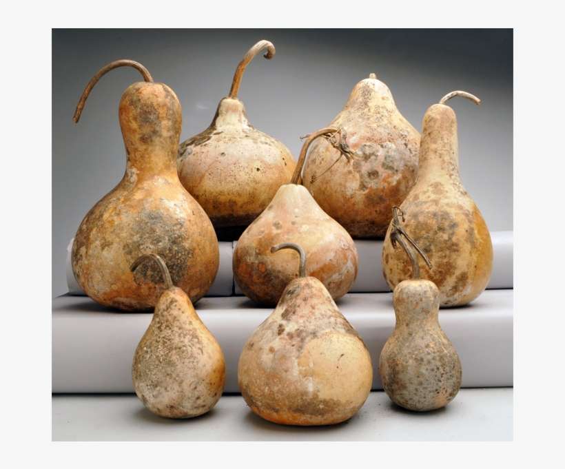 'distressed Finish' Gourds - Distressing, transparent png download