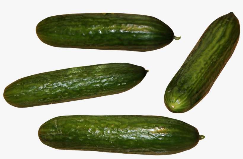 Cucumber Png Image - Transparent Bitter Gourd Png, transparent png download