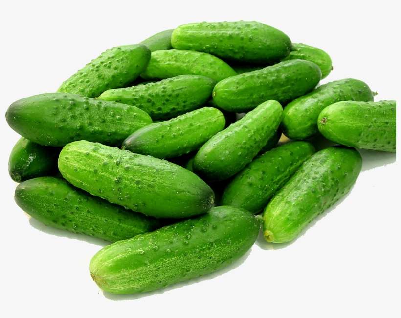 Cucumbers Transparent Background - 30 Seeds Fruit Cucumber Seeds Crispy And Delicious, transparent png download