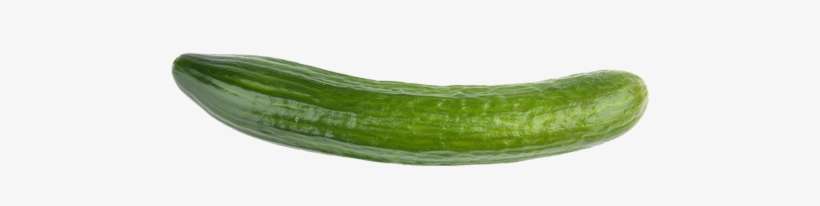 Cucumber Png Download - Japanese Cucumber Png, transparent png download
