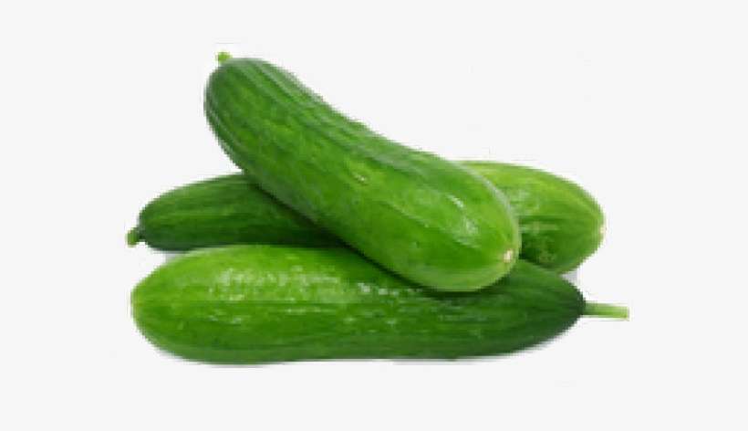 Cucumber Lebanese, transparent png download