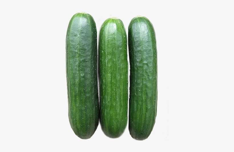 Commercial Seeds / Fruity / F1 Hybrid Cucumber - Fruit, transparent png download