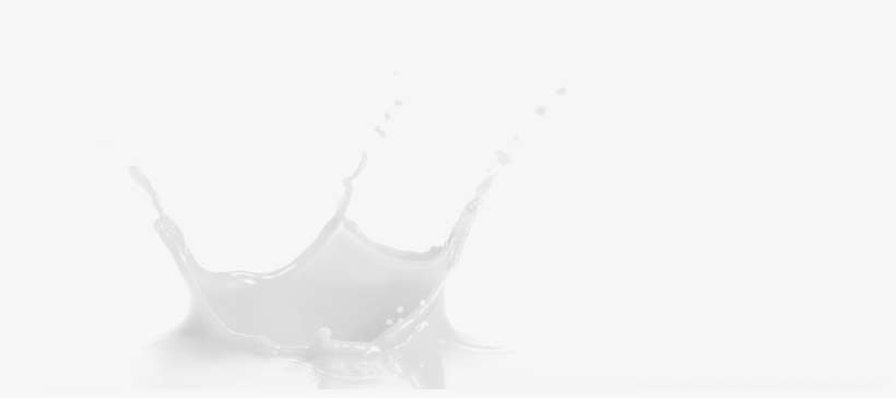 Products - Still Life Photography, transparent png download