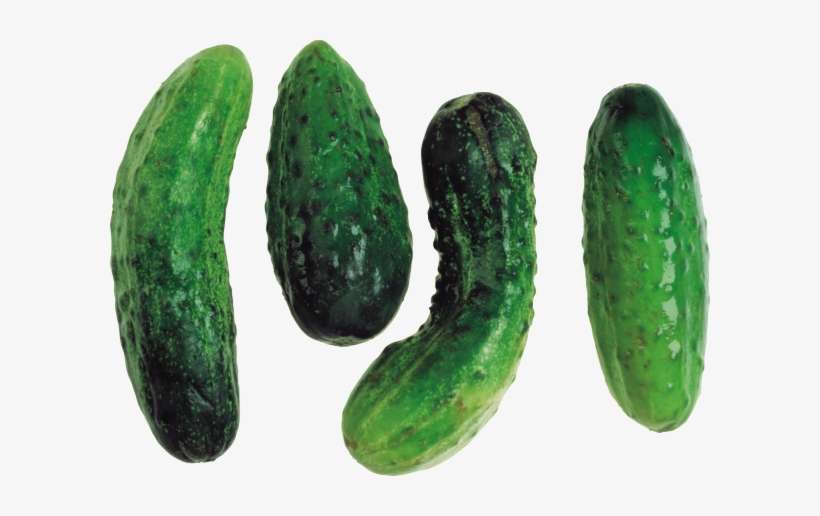 Cucumber Png Free Download - Indian Vegetables Image Png, transparent png download