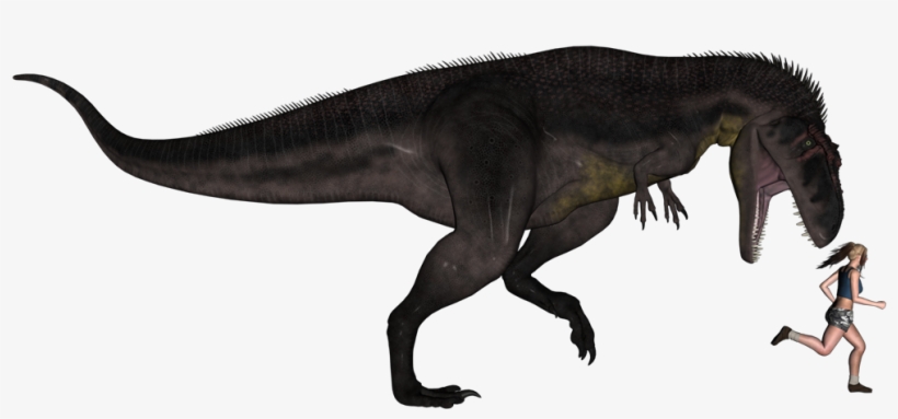 1024 X 768 3 - Feathered Giganotosaurus, transparent png download