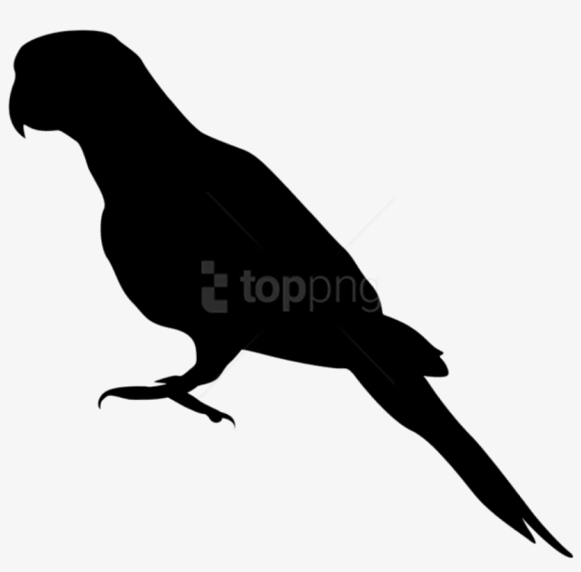Free Png Parrot Png Silhouette Png - Endangered Species Silhouette, transparent png download