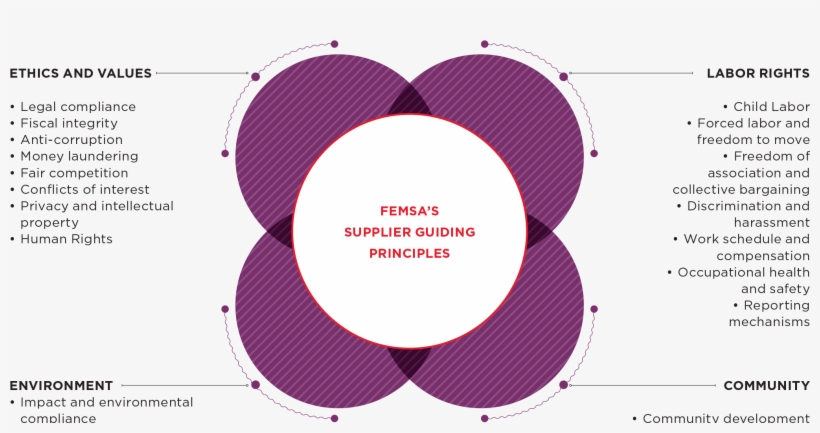 Including Supplier Guiding Principles And Sustainable - Circle, transparent png download