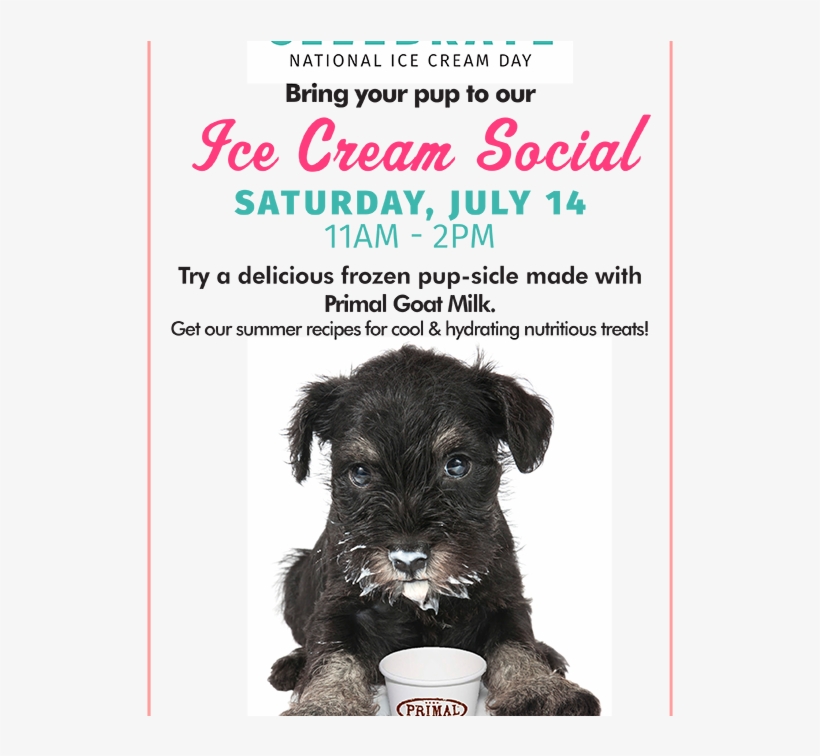 City Mall, transparent png download