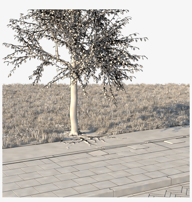 Ribs Prevent The Roots From Growing Within The Cylinder - Walkway, transparent png download