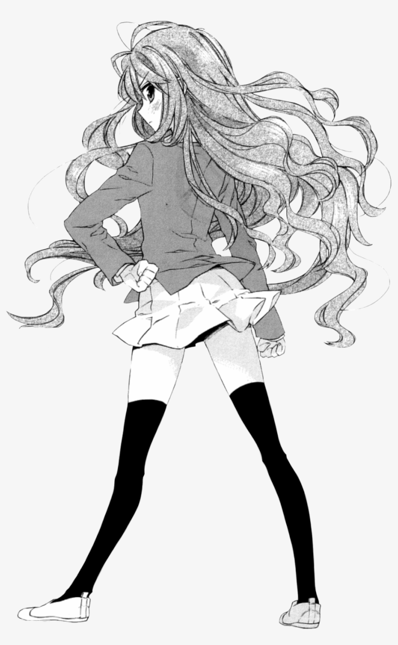 Aisaka Taiga Manga Transparent From Toradora （＾ν＾） - Cartoon, transparent png download