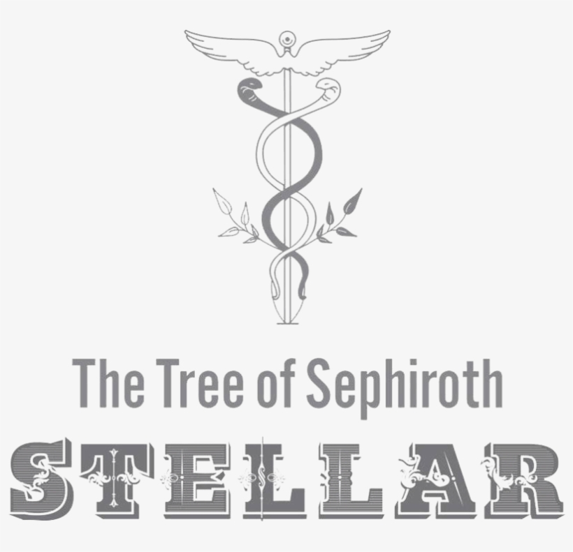 Stellar Kpop Logo 5 By Ashley - Poster, transparent png download