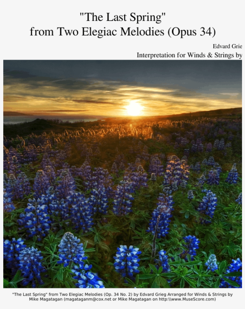 "the Last Spring" From Two Elegiac Melodies For Winds - Field Of Flowers, transparent png download
