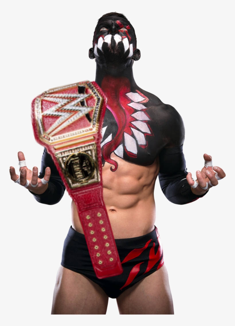 Wwe Critics - Finn Balor Universal Champion, transparent png download