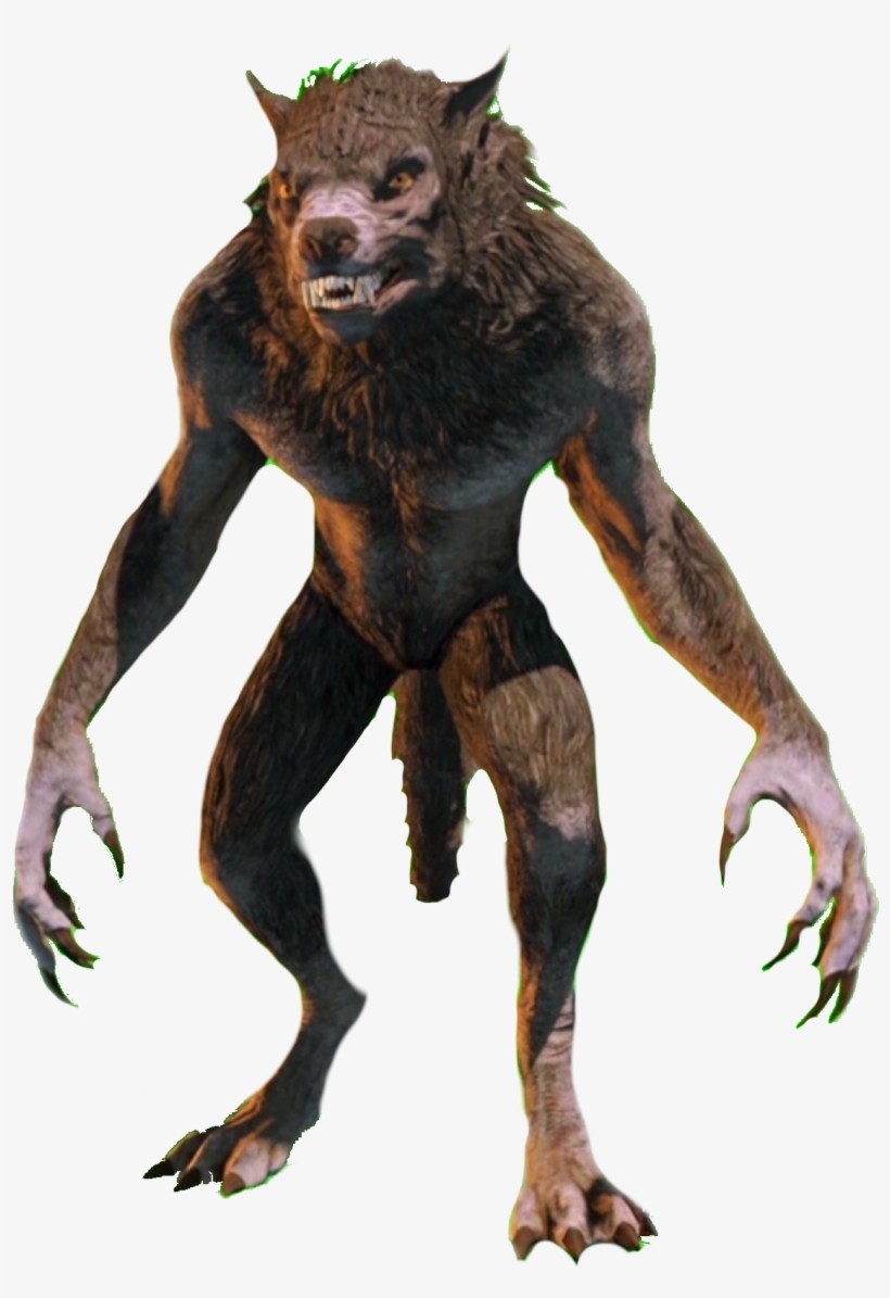 Wolf Wolfman Howl Werewolf Halloween Freetoedit - Cryptid, transparent png download