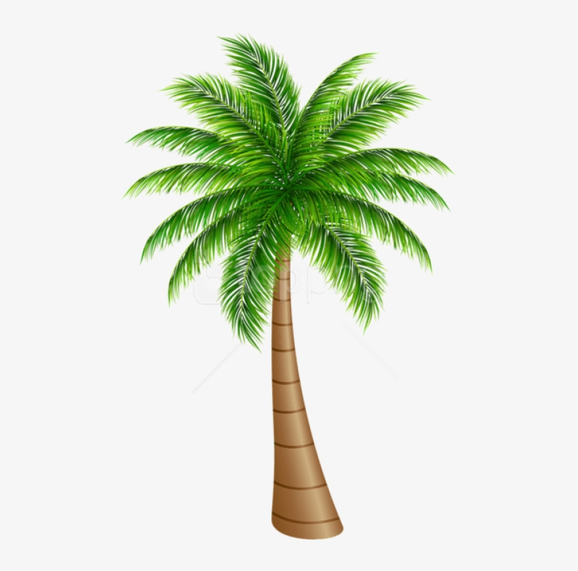 Free Png Palm Tree Large Png Images Transparent - Palm Clipart, transparent png download