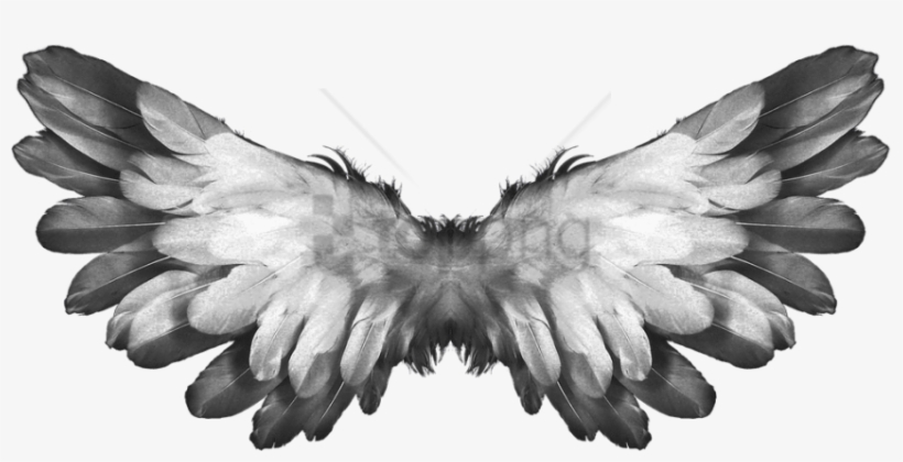 Free Png Angel Wings Feathers Png Image With Transparent - Feathers Wings, transparent png download