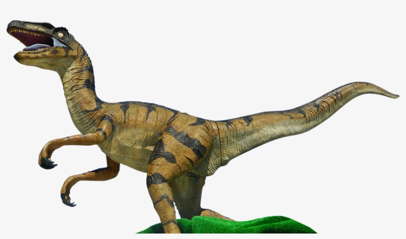 Dinosaurs, transparent png download