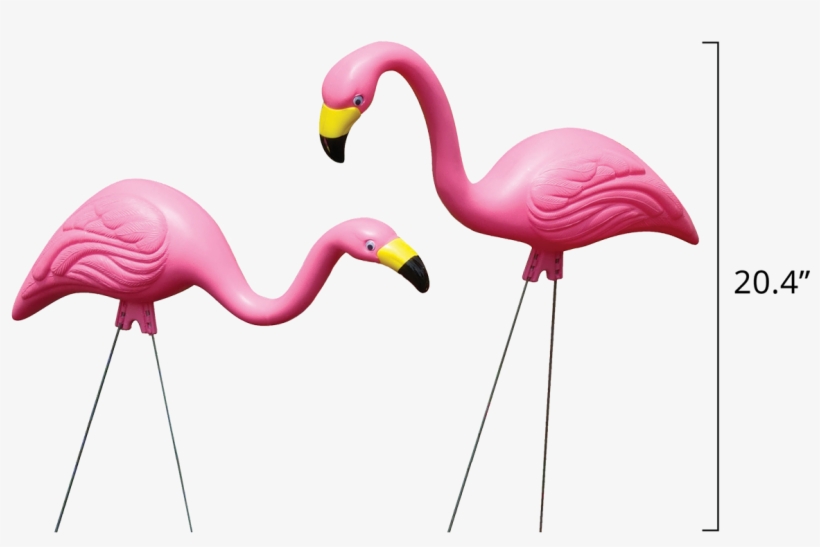 Pink - Flamingo Garden, transparent png download