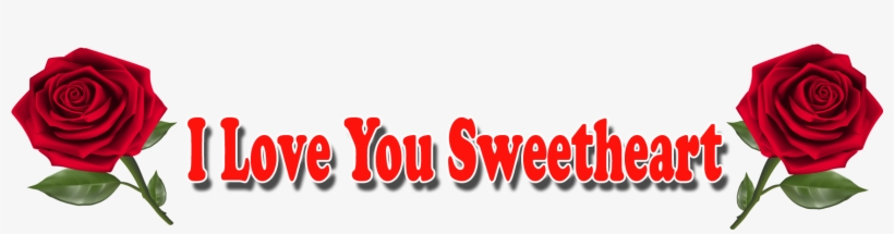 Happy Anniversary Text Png, transparent png download