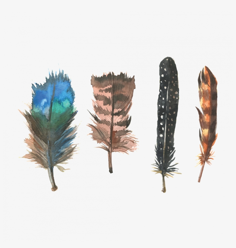 Feathers Of Happiness - Watercolor Paint, transparent png download