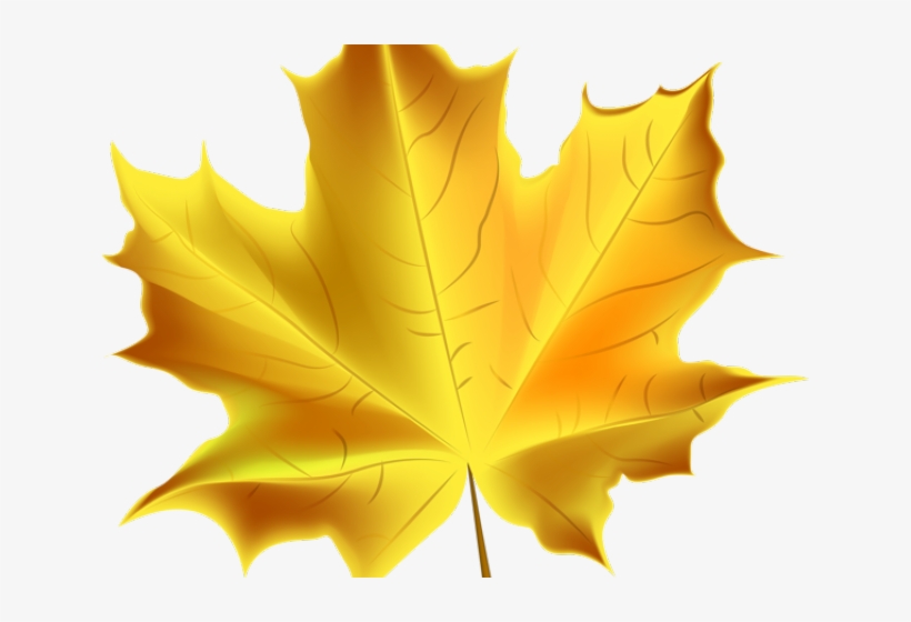 Autumn Leaves Clipart - Yellow Autumn Leaves Clipart, transparent png download