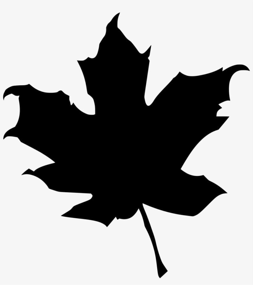 Download Png - Autumn, transparent png download