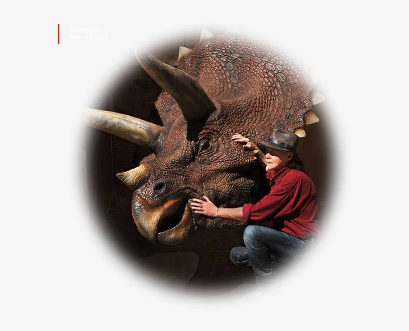 Musee Cinema Triceratops Dan Ohlmann - Visual Arts, transparent png download