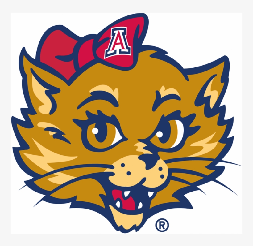Arizona Wildcats Iron On Stickers And Peel-off Decals - University Of Arizona, transparent png download