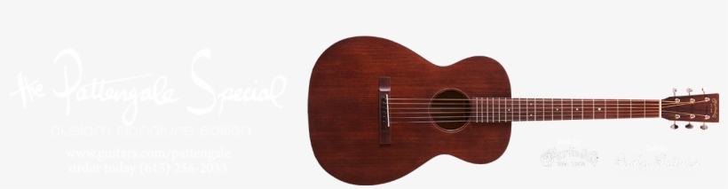 That I Did & All The Things That I Didn't Do" To "the - Acoustic Guitar, transparent png download