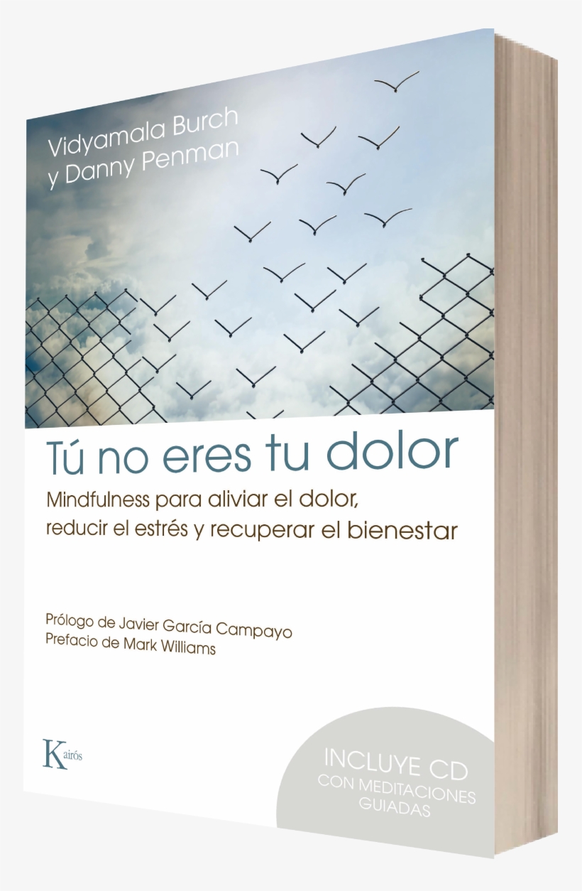 Libro Tú No Eres Tu Dolor - Tu No Eres Tu Dolor, transparent png download