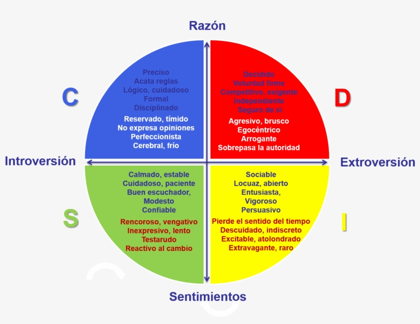 Libro Mi Vision Del Mundo Albert Einstein Pdf - Test De Disc, transparent png download