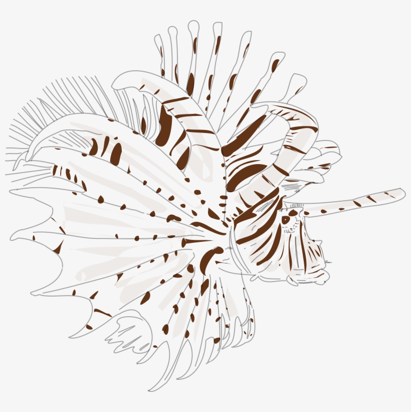 Lionfish - Illustration, transparent png download