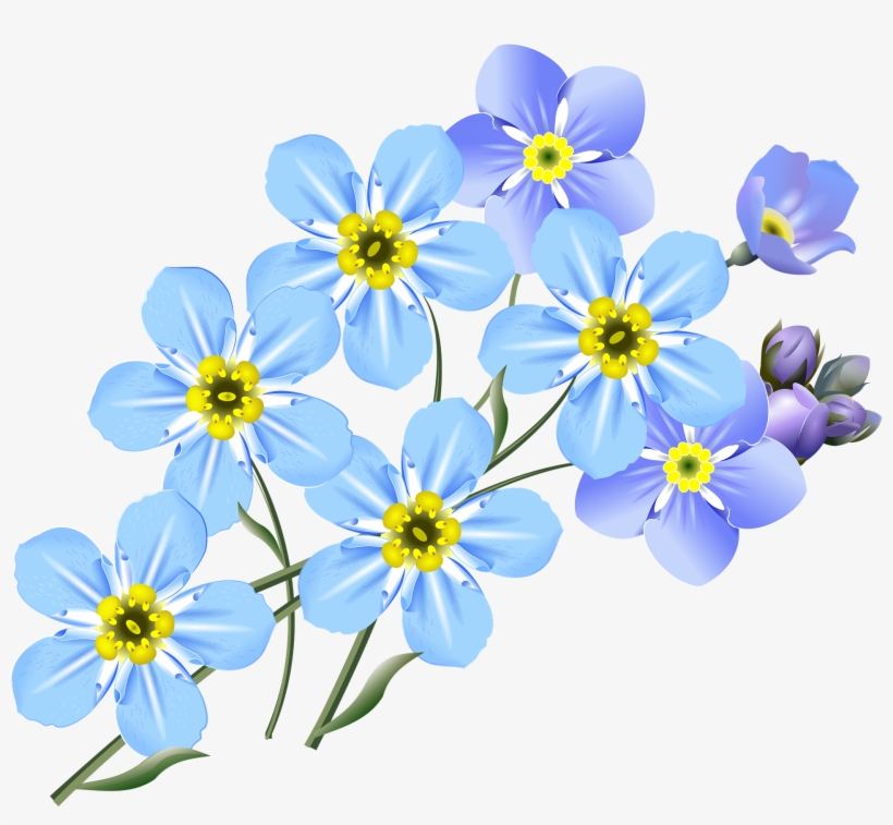 As Amazing As Super Bowl Ads Are, I'm Willing To Bet - Drawing Forget Me Not, transparent png download