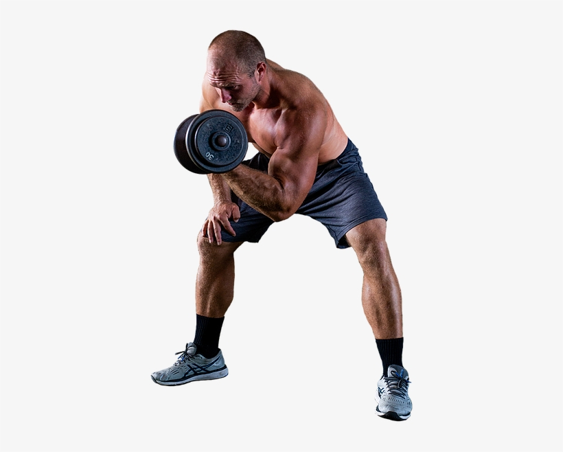 Dane Curl - Biceps Curl, transparent png download