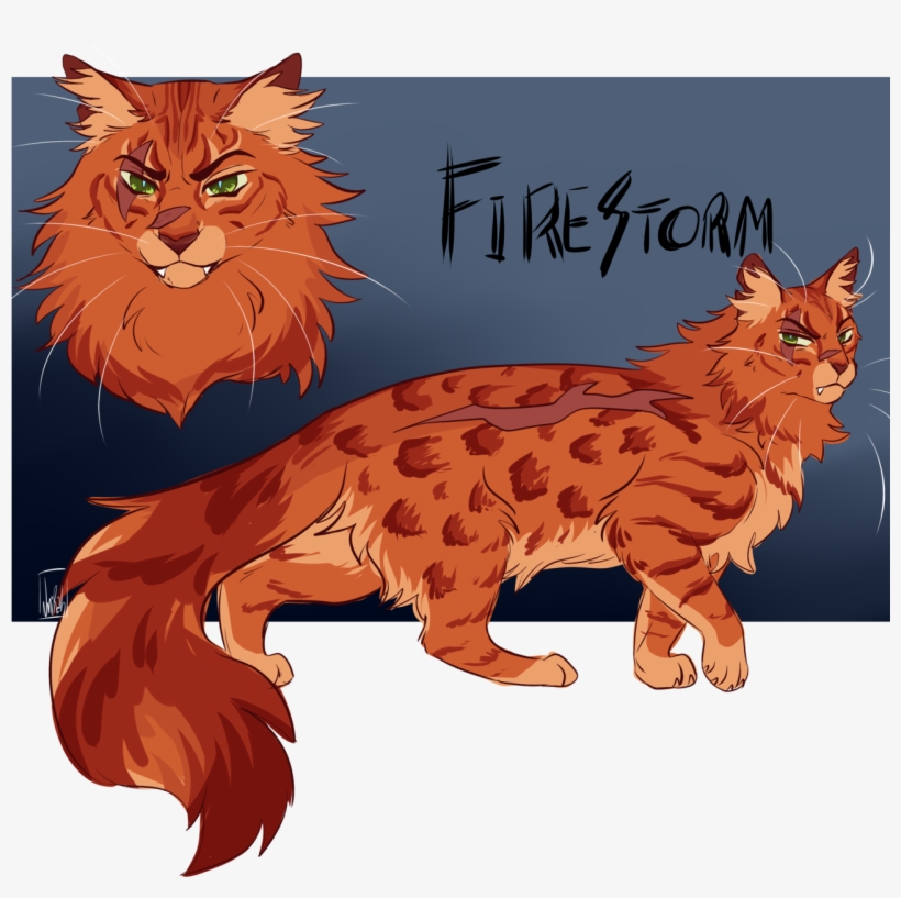 Kitten, transparent png download