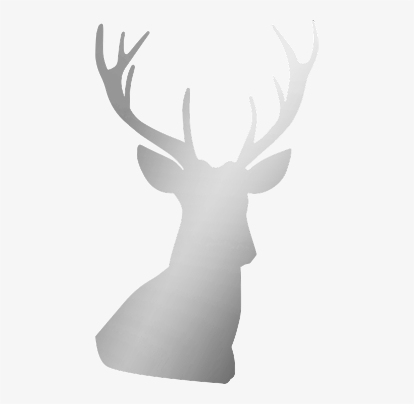 Silver, Deer, Antler, Buck, Stag, Metallic, Foil - Silver Stag Png, transparent png download