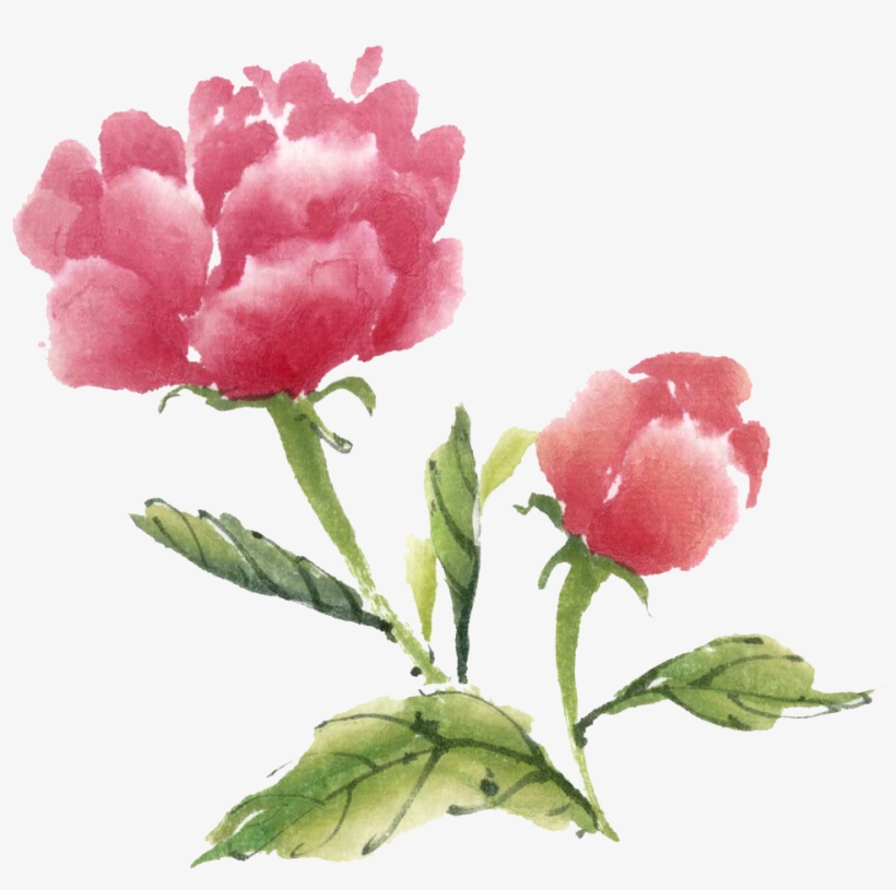 Ink Wash Painting Watercolor Flower Ipomoea Nil - Watercolor Painting, transparent png download