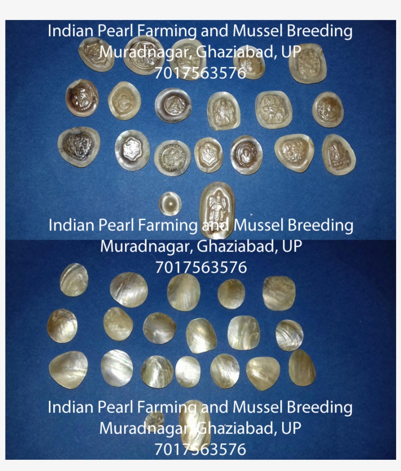 जो भी किसान भाई अपना डिज़ाइनर, आधा गोल या पूरा गोल - Label, transparent png download