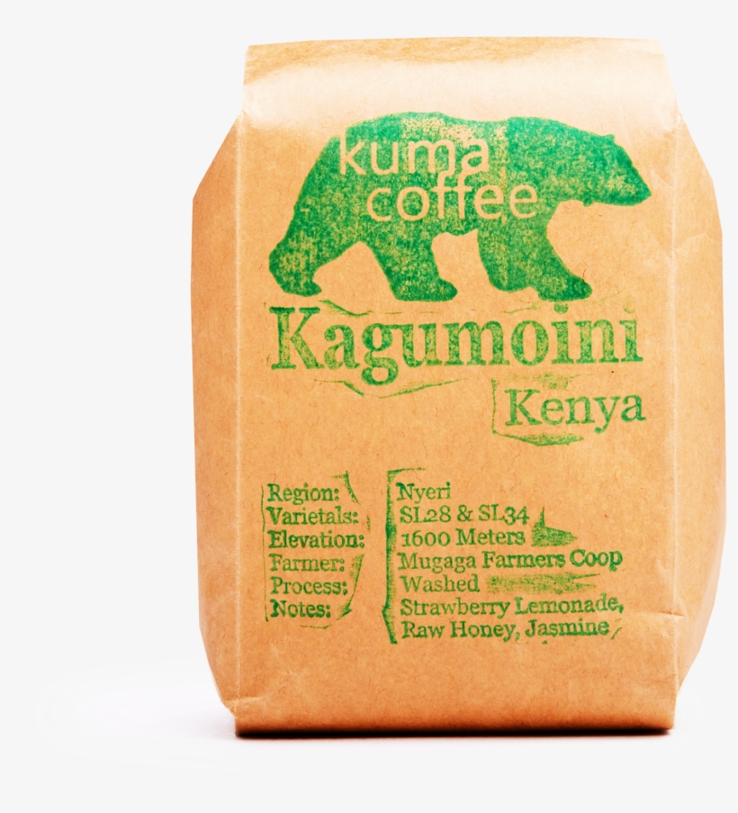 Indian Elephant, transparent png download