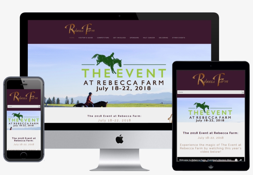 What We Did Website Development - Ecommerce Website Display Ads, transparent png download