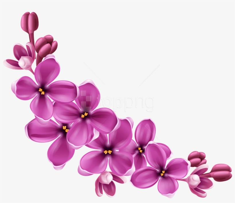 Free Png Download Flowers Png Images Background Png - Flowers Png Images Hd, transparent png download