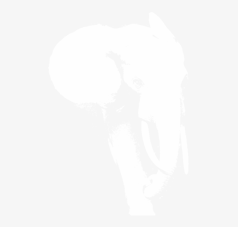 20 Am 3219 One 11/30/2012 - Illustration, transparent png download