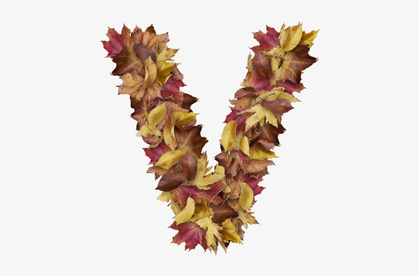 Letter V From Dry Leaves - Prince Of Wales Feathers, transparent png download