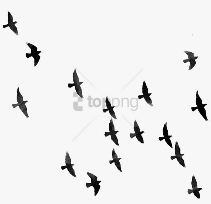 Free Png For Picsart Background Hd Png Image With Transparent - Png For Picsart Hd, transparent png download