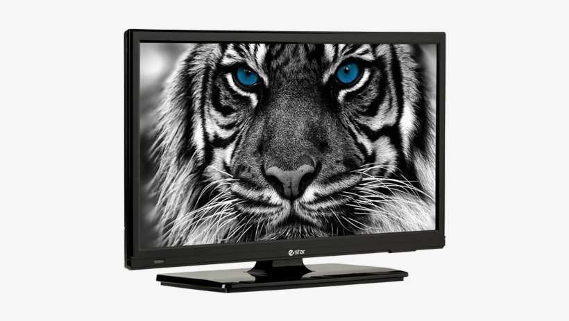 Ledtv 20d2t1 Ledtv Angle2 - E Star Tv, transparent png download