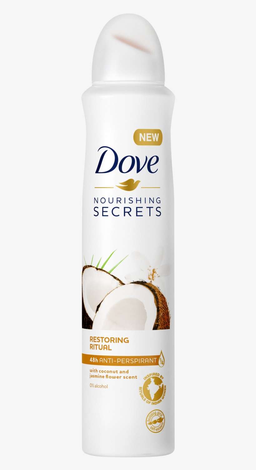 Dove, transparent png download